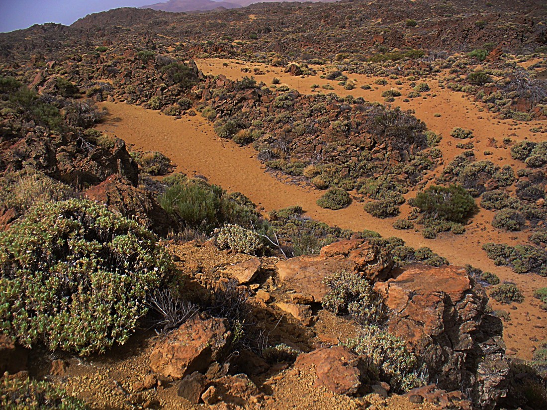 CañadaCaraNorteTeide2